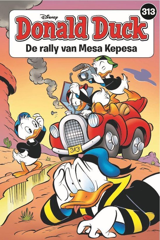 de_rally_van_mesa_kepesa